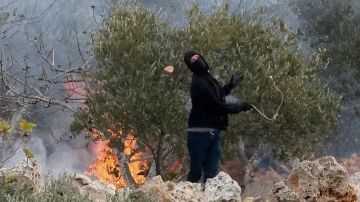 مستوطنون إسرائيليون يهجمون على قرية بالضفة ويحرقون أشجار الزيتون