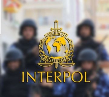 إنتربول فلسطين يتسلم مشتبها بجريمة قتل وقعت في نابلس إنتربول فلسطين يتسلم مشتبها بجريمة قتل وقعت في نابلس