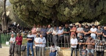 عشرات الآلاف يصلّون الجمعة في الأقصى.. والاحتلال يعتقل خطيبه