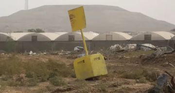 سونغاي: الخط الأصفر يتحول إلى منطقة قتل واستمرار الانتهاكات في غزة أمر مروع