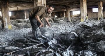 أبو قمر: تدمير أكثر من 90 من الصناعة في غزة يهدد قدرة الاقتصاد على التعافي أبو قمر: تدمير أكثر من 90 من الصناعة في غزة يهدد قدرة الاقتصاد على التعافي
