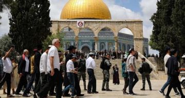 عشرات المستوطنين يقتحمون باحات المسجد الأقصى تحت حماية الاحتلال عشرات المستوطنين يقتحمون باحات المسجد الأقصى تحت حماية الاحتلال