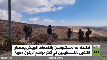 المستوطنون يعتدون على قاطفي الزيتون المستوطنون يعتدون على قاطفي الزيتون