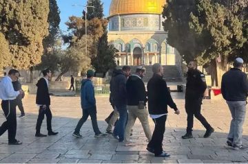 مستوطنون يقتحمون الأقصى ويؤدون طقوسا تلمودية بحماية الاحتلال مستوطنون يقتحمون الأقصى ويؤدون طقوسا تلمودية بحماية الاحتلال
