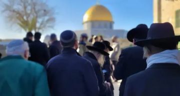 736 انتهاكا للاحتلال والمستوطنين في القدس خلال أيلول 736 انتهاكا للاحتلال والمستوطنين في القدس خلال أيلول