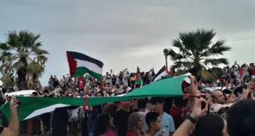 خاص سعد لـ شهاب: استمرار اعتقال نشطاء أسطول الصمود في تونس تناقض مؤلم يهدد الدور التضامني مع غزة خاص سعد لـ شهاب: استمرار اعتقال نشطاء أسطول الصمود في تونس تناقض مؤلم يهدد الدور التضامني مع غزة