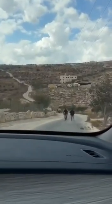 فلسطين.. مستوطنون ملثمون يعتدون على دبلوماسيين أوروبيين في قرية الطيبة بالضفة الغربية فلسطين.. مستوطنون ملثمون يعتدون على دبلوماسيين أوروبيين في قرية الطيبة بالضفة الغربية