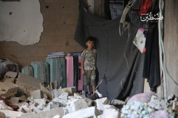 استشهاد رجل وزوجته بقصف إسرائيلي في غزة وطفل برصاص الاحتلال استشهاد رجل وزوجته بقصف إسرائيلي في غزة وطفل برصاص الاحتلال