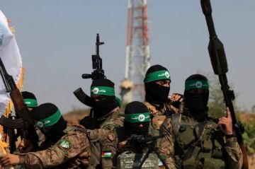 اشتباك من مسافة صفر.. رادع تضرب المجموعات العميلة في رفح اشتباك من مسافة صفر.. رادع تضرب المجموعات العميلة في رفح