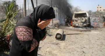 باليوم الوطني للمرأة.. أكثر من 123 ألف أسرة تعيلها نساء في غزة باليوم الوطني للمرأة.. أكثر من 123 ألف أسرة تعيلها نساء في غزة