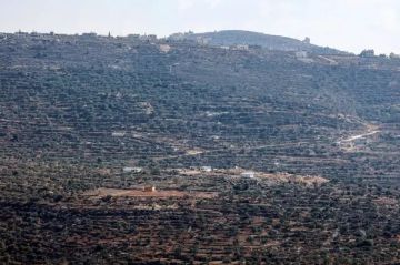 فلسطينيون يشتكون من هجوم مستوطنين على محاصيلهم الزراعية في قرى في الضفة الغربية المحتلة فلسطينيون يشتكون من هجوم مستوطنين على محاصيلهم الزراعية في قرى في الضفة الغربية المحتلة