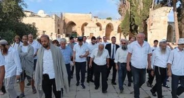 تقرير موسم الأعياد اليهودية: أكثر من 11 ألف مستوطن اقتحموا الأقصى في ثلاثة أسابيع ومئات الفلسطينيين مبعدون تقرير موسم الأعياد اليهودية: أكثر من 11 ألف مستوطن اقتحموا الأقصى في ثلاثة أسابيع ومئات الفلسطينيين مبعدون