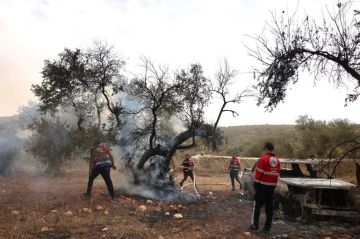 مستوطنون يهاجمون قاطفي الزيتون ويحرقون الأشجار في محيط رام الله مستوطنون يهاجمون قاطفي الزيتون ويحرقون الأشجار في محيط رام الله