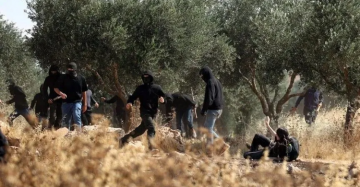 العفو الدولية: إسرائيل تستخدم عنف المستوطنين أداة للتطهير العرقي بالضفة العفو الدولية: إسرائيل تستخدم عنف المستوطنين أداة للتطهير العرقي بالضفة
