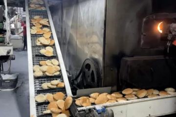 خاص العجرمي لـفلسطين أون لاين: وعود بإدخال الدقيق إلى غزة يوم الأحد خاص العجرمي لـفلسطين أون لاين: وعود بإدخال الدقيق إلى غزة يوم الأحد
