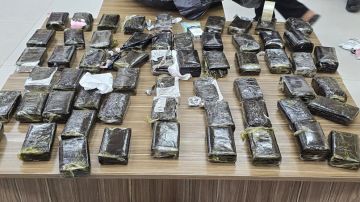 الجمارك: ضبط 296 كفا من الحشيش و6 كيلوغرامات من الماريغوانا الجمارك: ضبط 296 كفا من الحشيش و6 كيلوغرامات من الماريغوانا