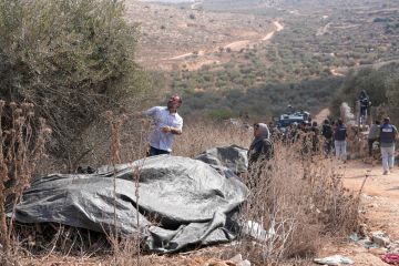 إسرائيل تحتجز مرشحا للكونغرس الأميركي خلال قطاف الزيتون بالضفة الغربية إسرائيل تحتجز مرشحا للكونغرس الأميركي خلال قطاف الزيتون بالضفة الغربية