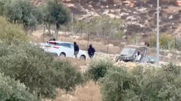 دبلوماسيون أوروبيون يتعرضون لهجوم من مستوطنين إسرائيليين في الضفة الغربية المحتلة دبلوماسيون أوروبيون يتعرضون لهجوم من مستوطنين إسرائيليين في الضفة الغربية المحتلة