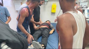 التربية تحذر من استهداف أطفال غزة وتدعو لتحرك دولي التربية تحذر من استهداف أطفال غزة وتدعو لتحرك دولي