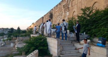مستوطنون يدنسون مقبرة باب الرحمة المحاذية للمسجد الأقصى مستوطنون يدنسون مقبرة باب الرحمة المحاذية للمسجد الأقصى