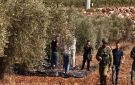 الاحتلال يمنع مزارعين من قطف الزيتون في ترمسعيا وإذنا