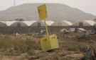 سونغاي: الخط الأصفر يتحول إلى منطقة قتل واستمرار الانتهاكات في غزة أمر مروع