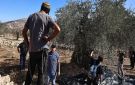 الزيتون الفلسطيني في موسم الخسارة.. نصف الإنتاج يتبخر تحت اعتداءات الاحتلال
