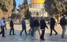 مستوطنون يقتحمون الأقصى ويؤدون طقوسا تلمودية بحماية الاحتلال