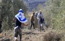تفاصيل 219 اعتداء إسرائيليا بالضفة الغربية منذ مطلع أكتوبر