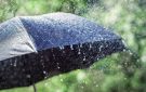 المفرق تسجل أعلى كمية هطول مطري - ps
