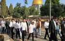 في سادس أيام عيد العرش .. نحو 1200 مستوطن يقتحمون المسجد الأقصى
