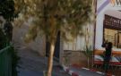 خاص عملية الخليل البطولية تربك الاحتلال وتضع نتنياهو في مأزق قبيل الانتخابات - ps