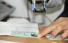 الأحوال المدنية تنجز أكثر من 124 ألف معاملة خلال 3 أشهر في غزة
