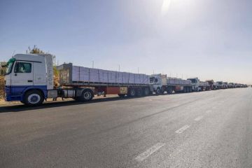  تحيا مصر و بيت الزكاة يعلنان دخول 780 طن من المواد الغذائية إلى غزة