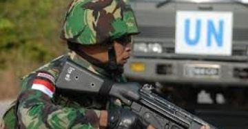 ليست للقتال ولا للتطبيع.. إندونيسيا تضع 12 شرطا لنشر قواتها في غزة