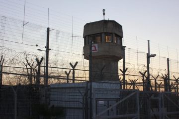 نادي الأسير: (88) شهيدا في سجون الاحتلال منذ بدء الإبادة