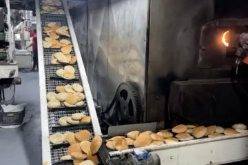 العجرمي: نقص الوقود العامل الحاسم لانهيار منظومة الخبز في غزة