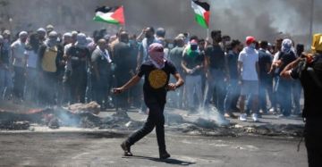 24 عملا مقاوما بالضفة المحتلة خلال 48 ساعة 24 عملا مقاوما بالضفة المحتلة خلال 48 ساعة