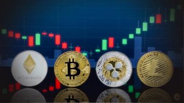 ماذا يعني تدشين عملة رقمية في غزة؟ محلل اقتصادي يوضح