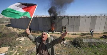 مقاومة الجدار: 1872 اعتداء للاحتلال والمستعمرين خلال كانون الثاني