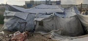 تقرير أبو هريرة: صمود 70 عائلة فلسطينية على أطراف حي الزيتون رغم الخطر