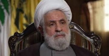 الشيخ قاسم: محاولات إيجاد شرخ بين المقاومة والشعب والجيش فشلت