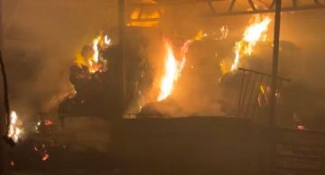 مستوطنون يحرقون خياما في الأغوار الشمالية مستوطنون يحرقون خياما في الأغوار الشمالية