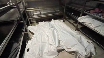 10 شهداء وعدد من المصابين بقصف إسرائيلي على خانيونس وجباليا 10 شهداء وعدد من المصابين بقصف إسرائيلي على خانيونس وجباليا