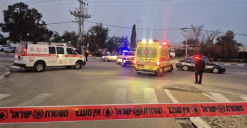 5 جرائم قتل جديدة بالداخل المحتل ترفع العدد إلى 42 منذ مطلع العام 5 جرائم قتل جديدة بالداخل المحتل ترفع العدد إلى 42 منذ مطلع العام