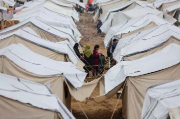 طقس فلسطين: أجواء غائمة وشديدة البرودة