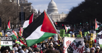 انقلاب الاستطلاع السنوي الامريكي: الغالبية مع فلسطين