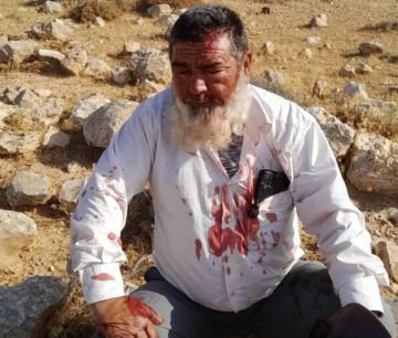 اعتداءات وحشية للمستوطنين في الضفة وقوات الاحتلال تشن حملة اعتقالات