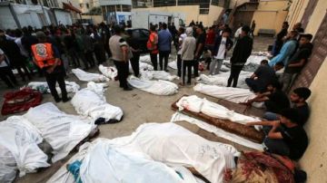 مدير مجمع الشفاء بغزة يكشف انتهاكات إسرائيلية بحق جثامين ضحايا غزة