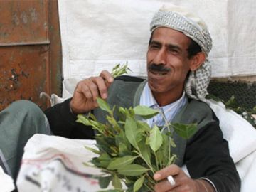 أراد تحويل القات إلى مشروب عالمي.. رجل أعمال يمني يظهر في تسريبات إبستين أراد تحويل القات إلى مشروب عالمي.. رجل أعمال يمني يظهر في تسريبات إبستين